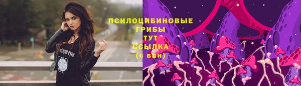 героин Алзамай