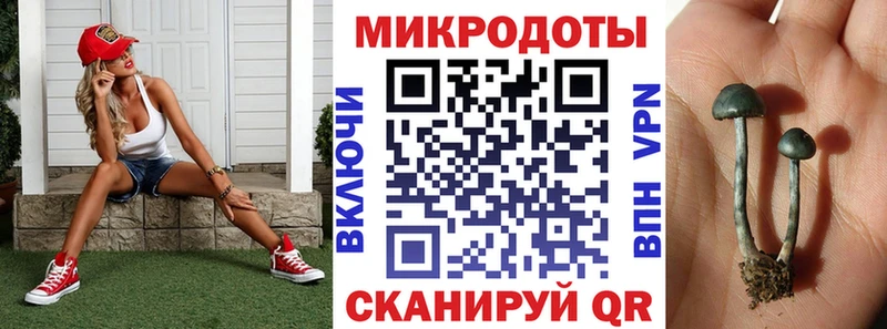 Галлюциногенные грибы Psilocybe Менделеевск