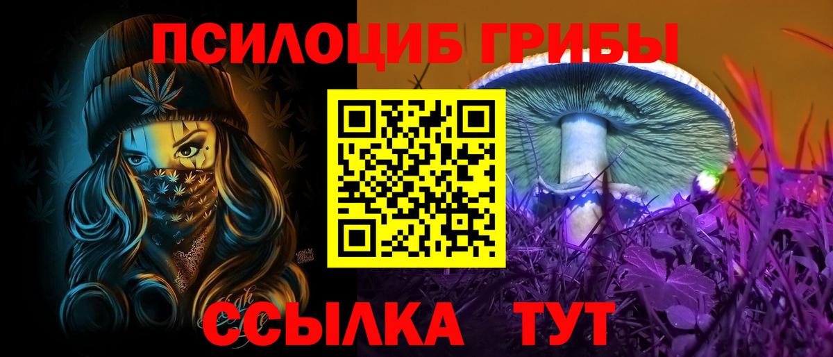 Менделеевск  Галлюциногенные грибы Psilocybine cubensis  Вход с VPN  Галлюциногенные грибы MAGIC MUSHROOMS 